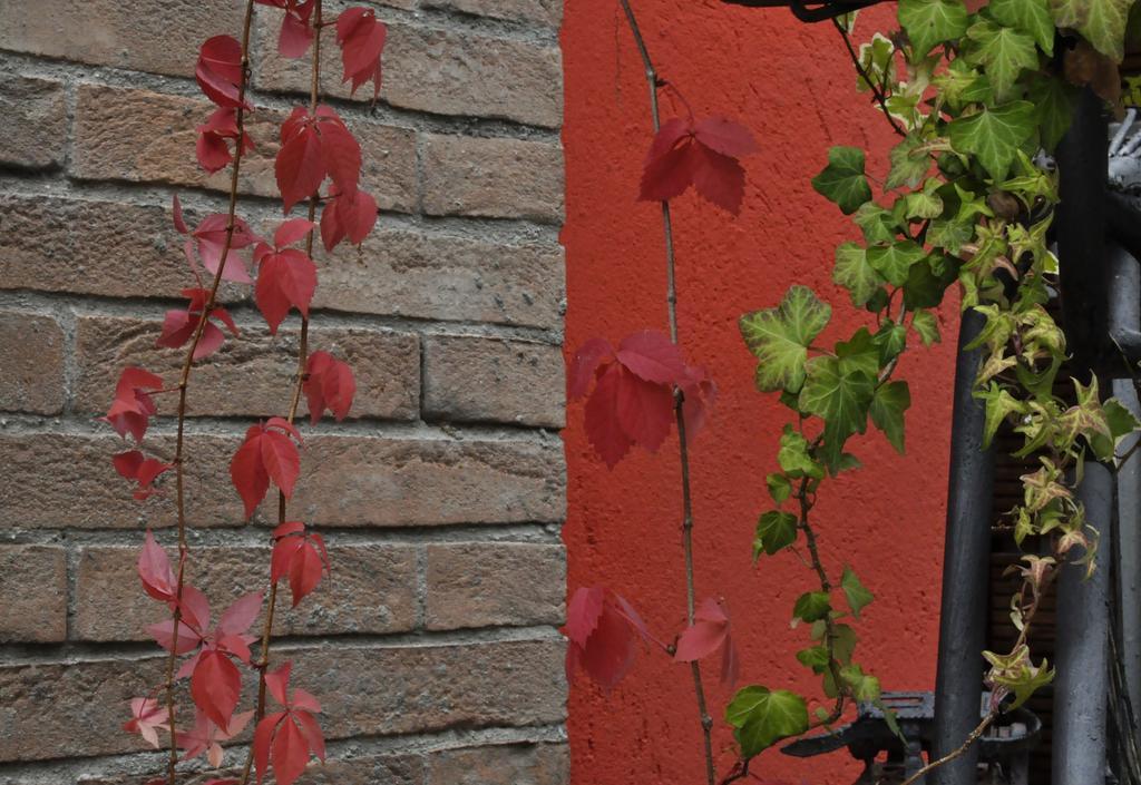 B&B Edera Castagnole Piemonte 外观 照片